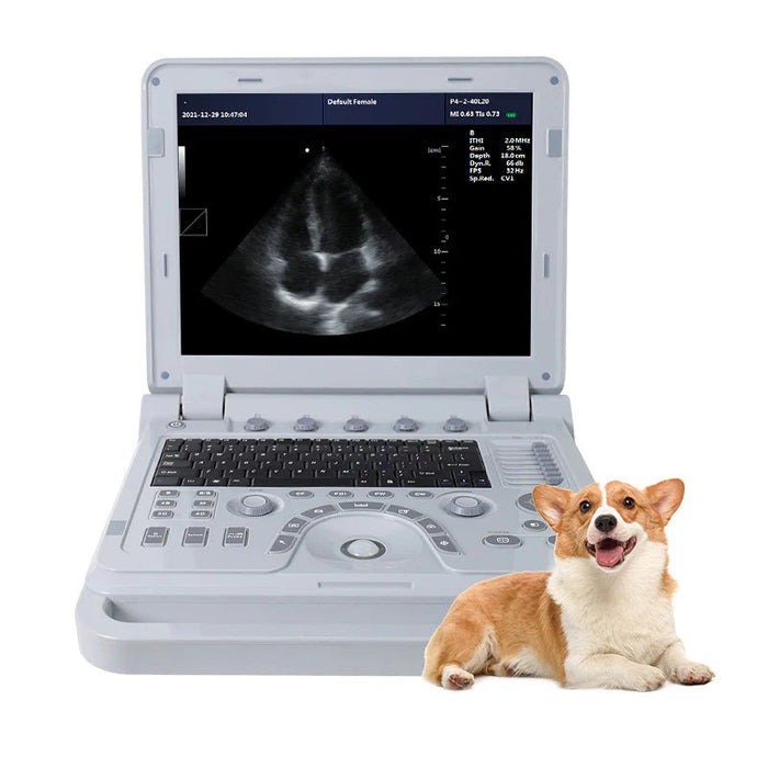 Veterinary Color Doppler CMS1700B - VET Ultrasound Scanner - Asclepius